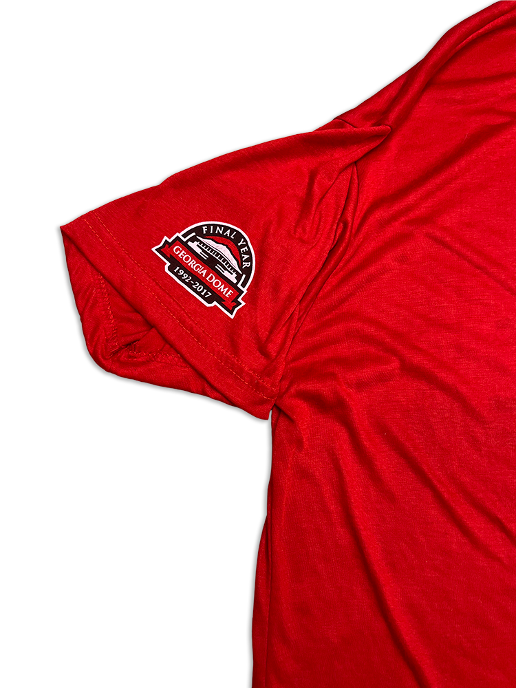 Publix We Are All Falcons Rise Up Crewneck T-Shirt