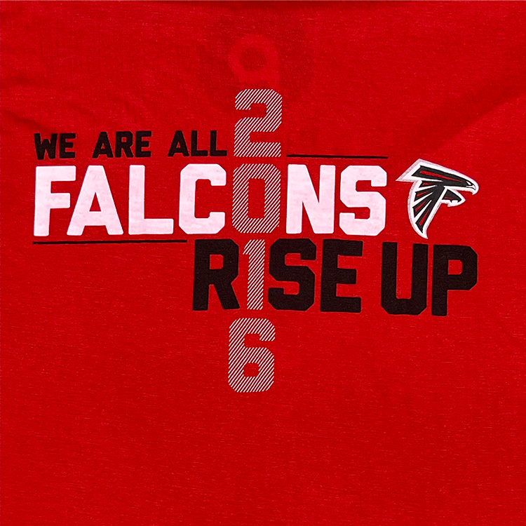 Publix We Are All Falcons Rise Up Crewneck T-Shirt