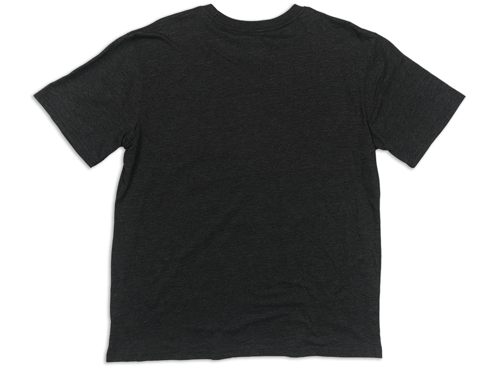 G-III Apparel Carolina Panthers NFC South Since 1995 T-Shirt