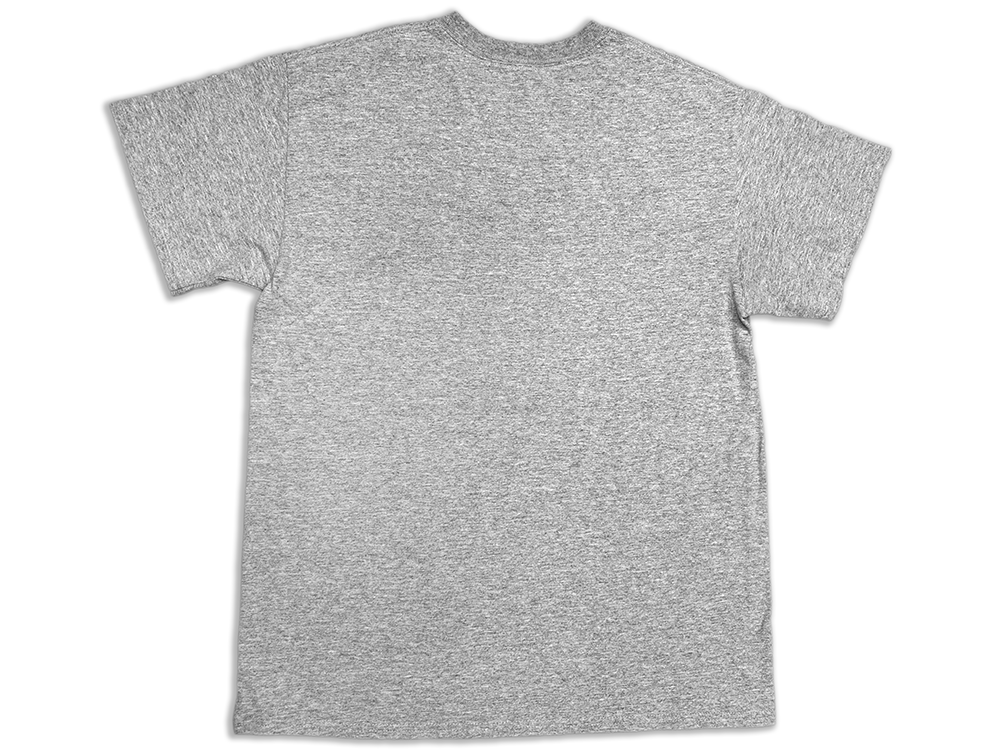 Majestic Carolina Panthers 1995 Style 2952X Crewneck T-Shirt