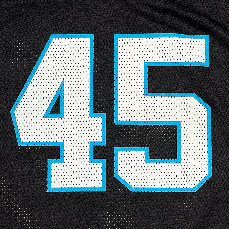 Reebok Authentic Carolina Panthers Brad Hoover 45 Replica Home Jersey
