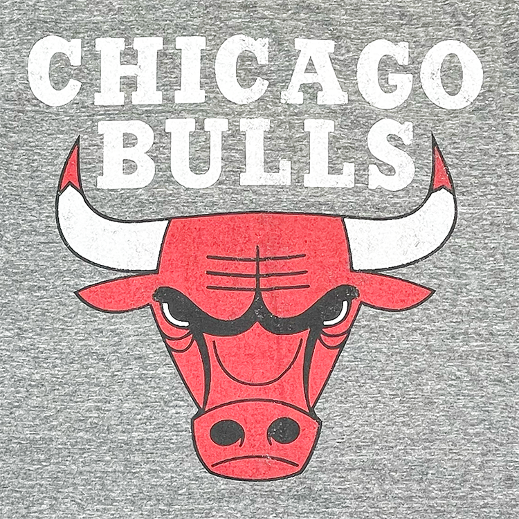 NBA Chicago Bulls Distressed Logo Crewneck T-Shirt