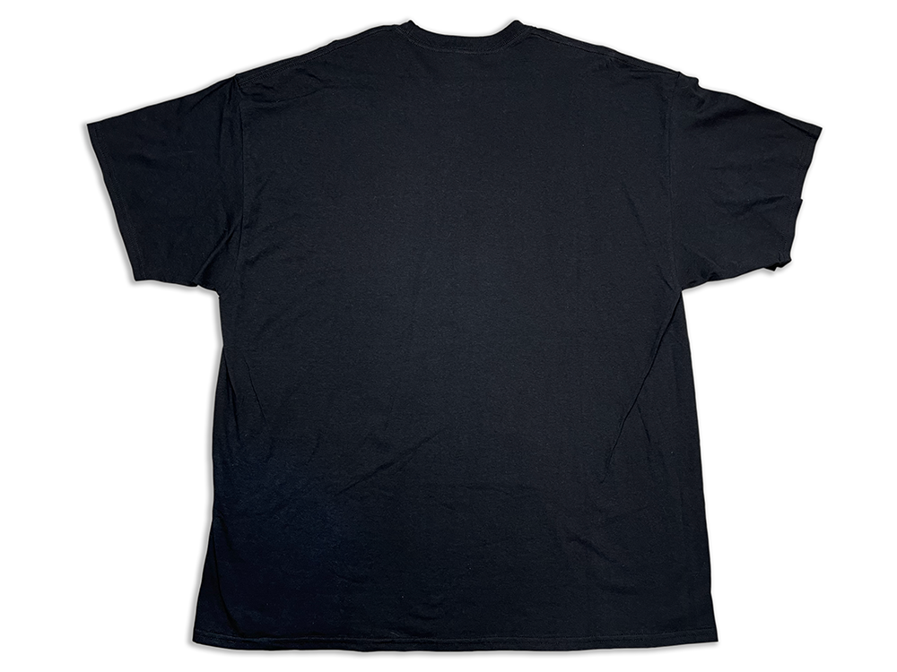 Gildan Polamalu 43 Pro Football Hall of Fame Class of 2020 T-Shirt
