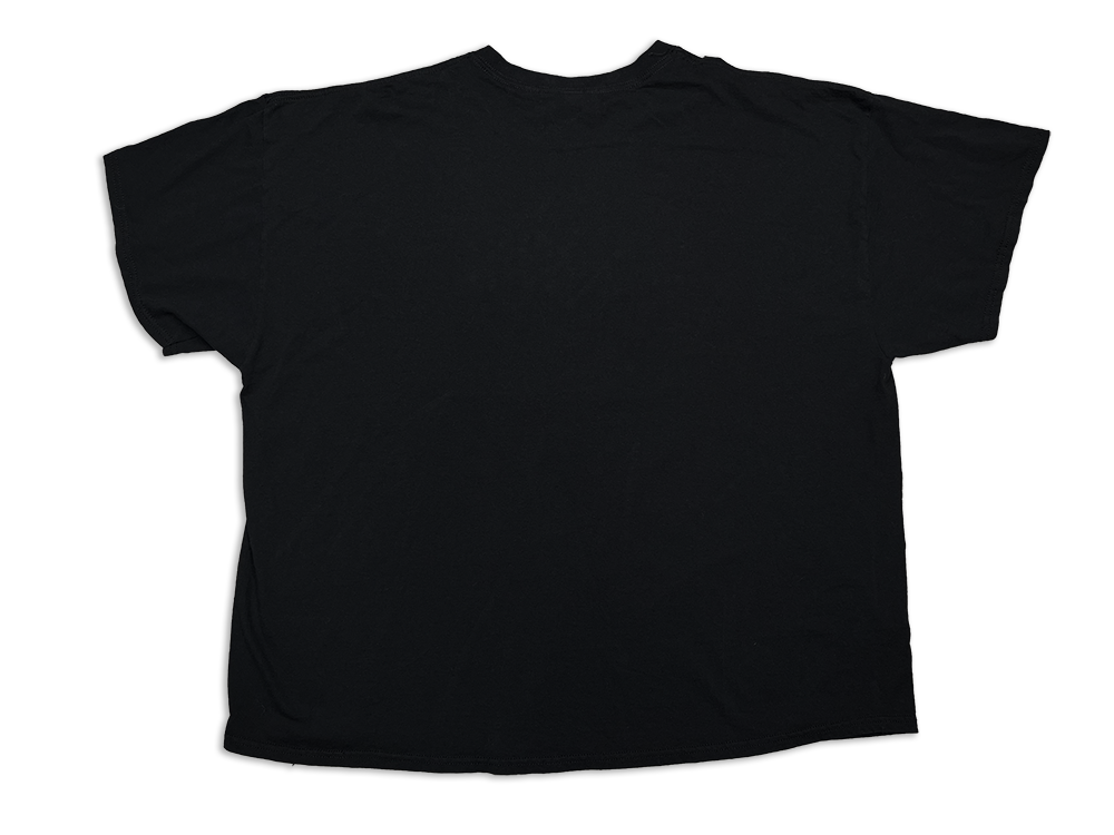 Gildan Troy Polamalu 2020 Pro Football Hall of Fame T-Shirt